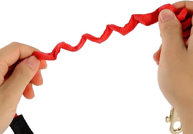 woobles Kayak Paddle Leash, Safety Paddle Leashes with Adjustable Belt Buckle and Metal Hooks, Safety Elastic Kayak Paddle Rope Canoeing Accessories for Canoeing Boating Surfing - Image 3